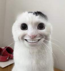 54858 B