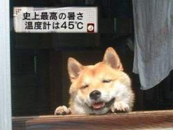 15661 B