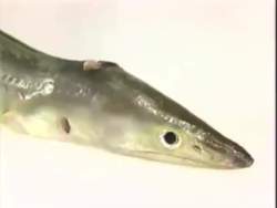 7857841 B