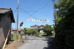 73484 B