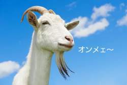 5286 B
