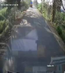 7354233 B