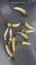 7299830 B