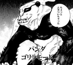 433144 B