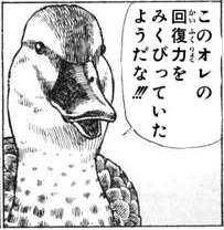 44752 B