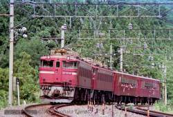 251928 B