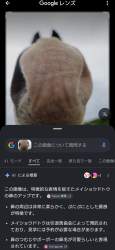 566446 B