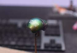232866 B