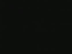 1557196 B