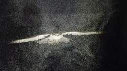 5936264 B