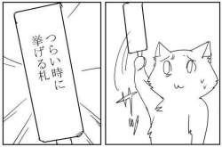 22466 B