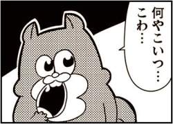27877 B