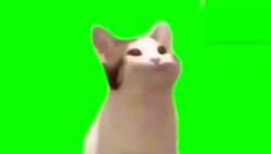 927946 B