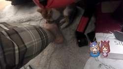 1397224 B