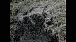 64597 B