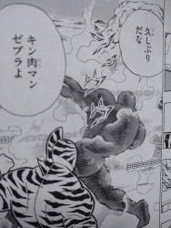 128691 B