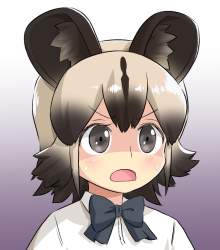 118333 B