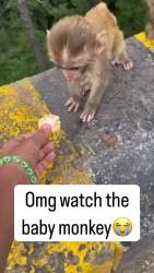 2222891 B