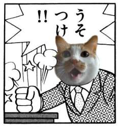 66340 B