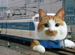100773 B
