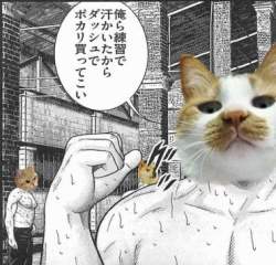 64271 B