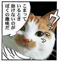 12676 B