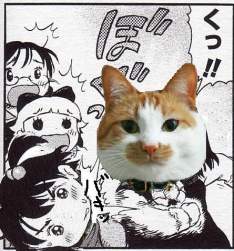 77812 B