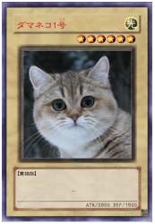 629306 B