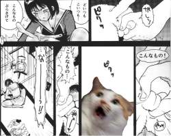 83704 B