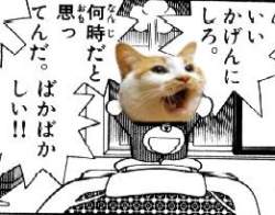 41584 B