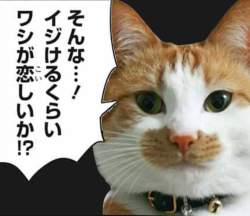 1990048 B