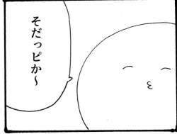 16097 B