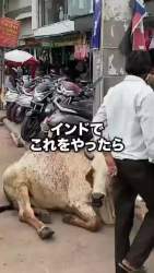7958573 B