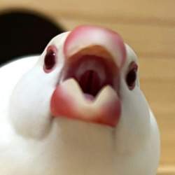 94396 B