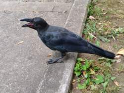 1055759 B