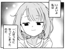 87333 B