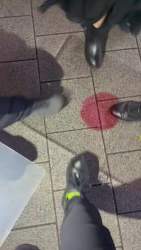 2407192 B