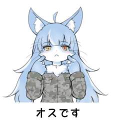 45792 B