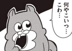 13559 B
