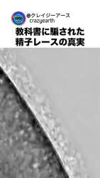 878629 B