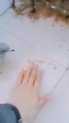 2891250 B