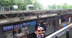 602595 B