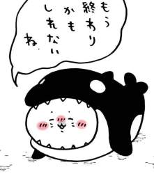 36282 B