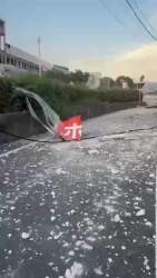 3556964 B