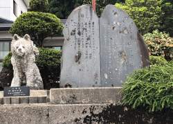 2554973 B