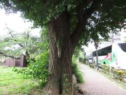 445367 B