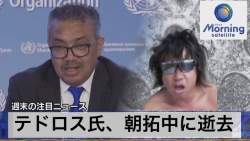 80498 B
