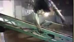 2688532 B