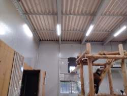 4848079 B