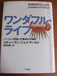 72697 B
